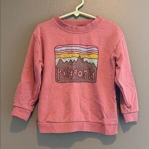 Patagonia Sweatshirt